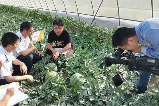 寒流無情，農(nóng)大和豫藝有愛